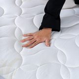 Matelas ALOE VERA Hauteur 27cm Aloe Vera