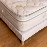 Matelas ALOE VERA Hauteur 27cm Aloe Vera