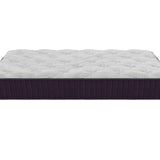 Ensemble PANDA PURPLE Sommier + Matelas Hauteur 32cm