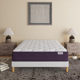 Ensemble PANDA PURPLE Sommier + Matelas Hauteur 32cm