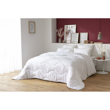 Elite Dream Couette Hiver/Ete